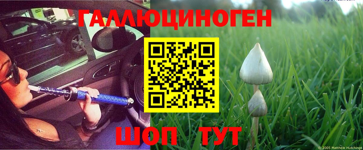 Псилоцибиновые грибы Magic Shrooms Санкт-Петербург