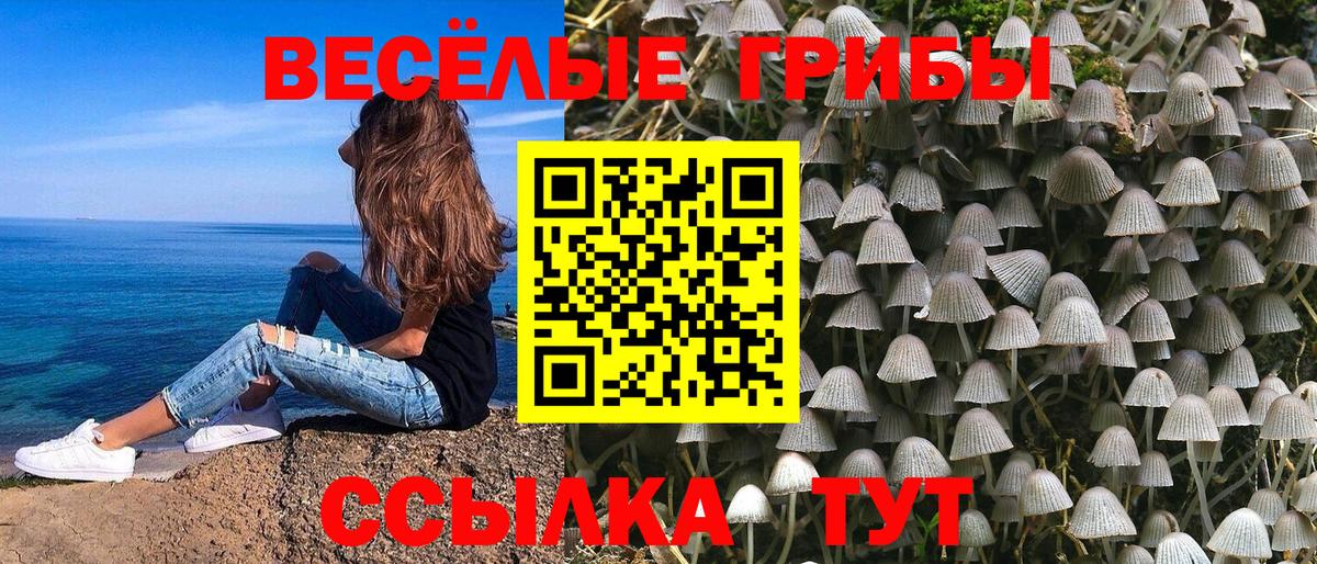 Псилоцибиновые грибы GOLDEN TEACHER  Вход с VPN  цена   Санкт-Петербург  Галлюциногенные грибы Cubensis 